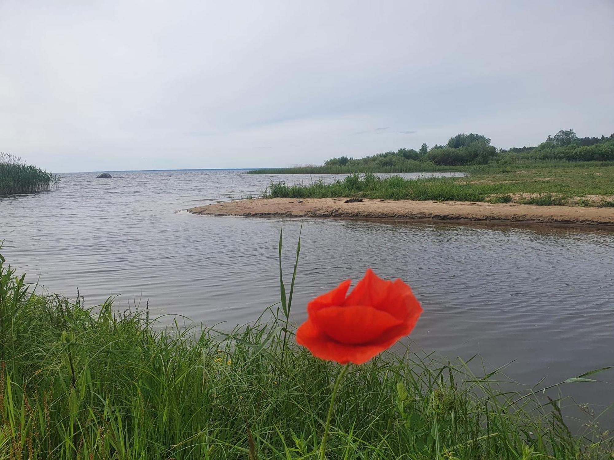 Paeevatalu Camping 호텔 Vilusi 외부 사진